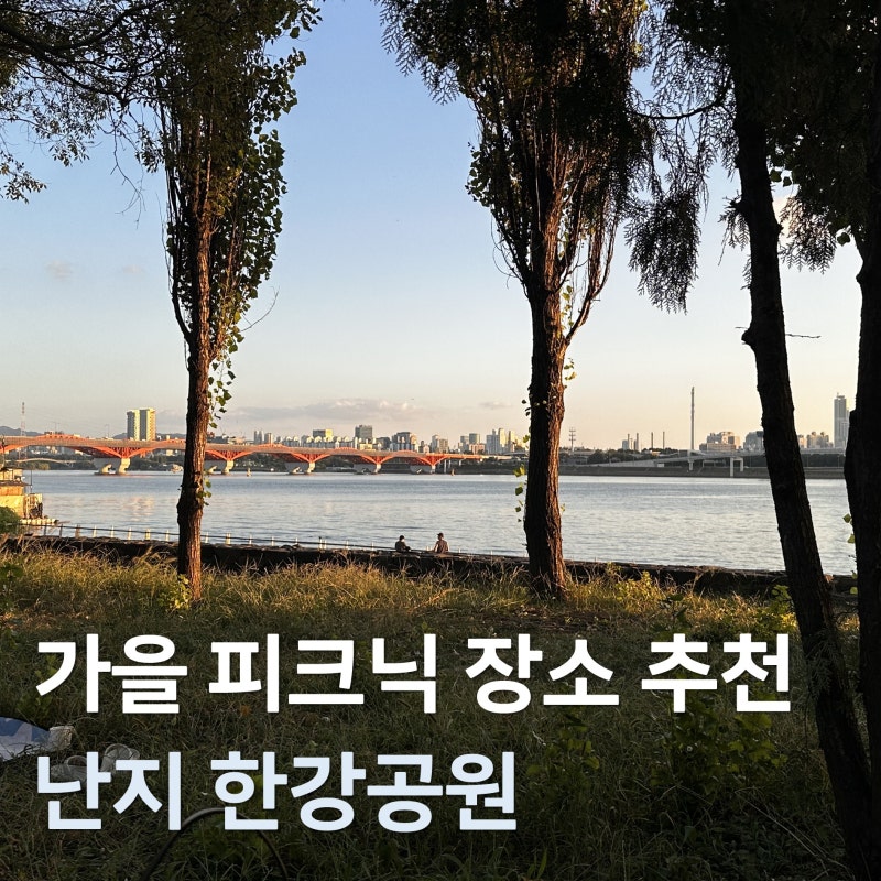 [한강 피크닉] 사람이 많지 않아서 좋았던 난지 한강공원 피크닉 후기