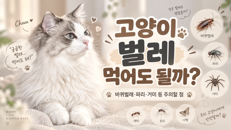 고양이 행동 상식, 벌레 먹어도 될까? 바퀴벌레 거미 파리 잡아먹을 때 주의할점