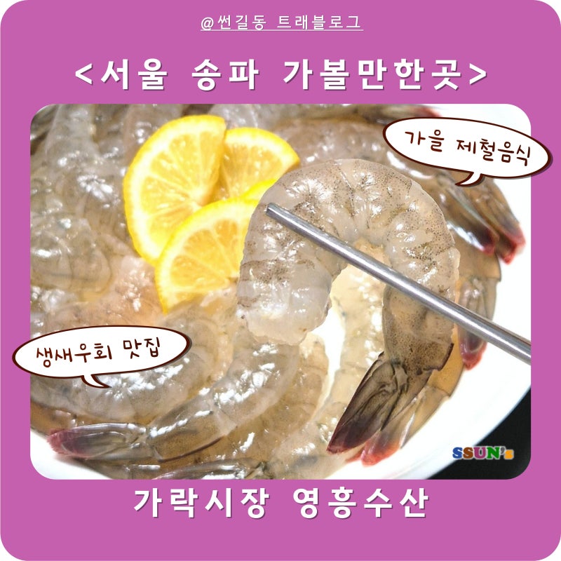 가락시장 생새우 맛집 영흥수산 가을 제철음식 제대로 즐기기