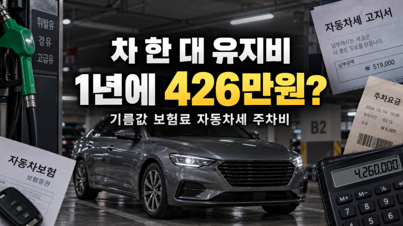 자동차 한 대 없앴더니 1년에 얼마 아낄까 보험료 기름값 세금까지 계산