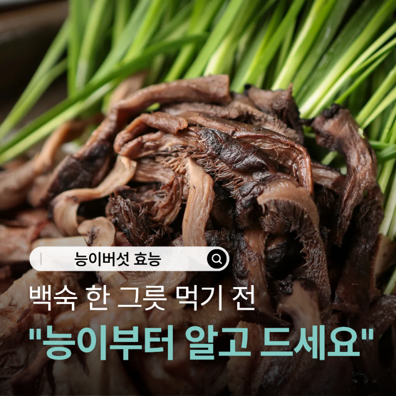 "백숙에 왜 넣을까?" 능이버섯 효능 알고 먹으니 이유가 있더라고요