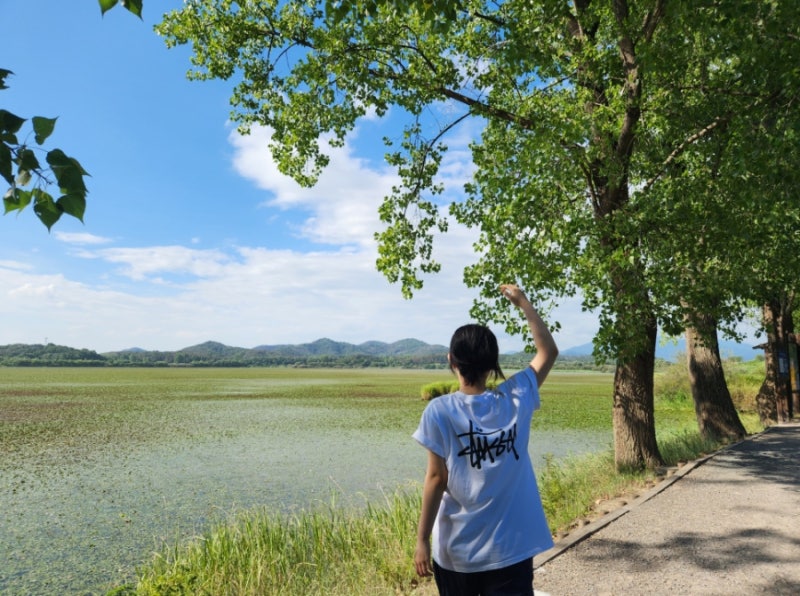 【慶南昌寧】行ける場所：昌寧に来たら必ず行くべき渡り鳥の飛来地「牛浦沼」正直レビュー｜駐車場
