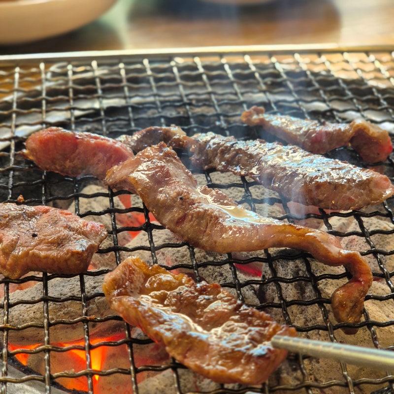 부산 애견동반 고기집 '옛기와' 기장 아이랑 식당 함께 간 후기 남겨봐요
