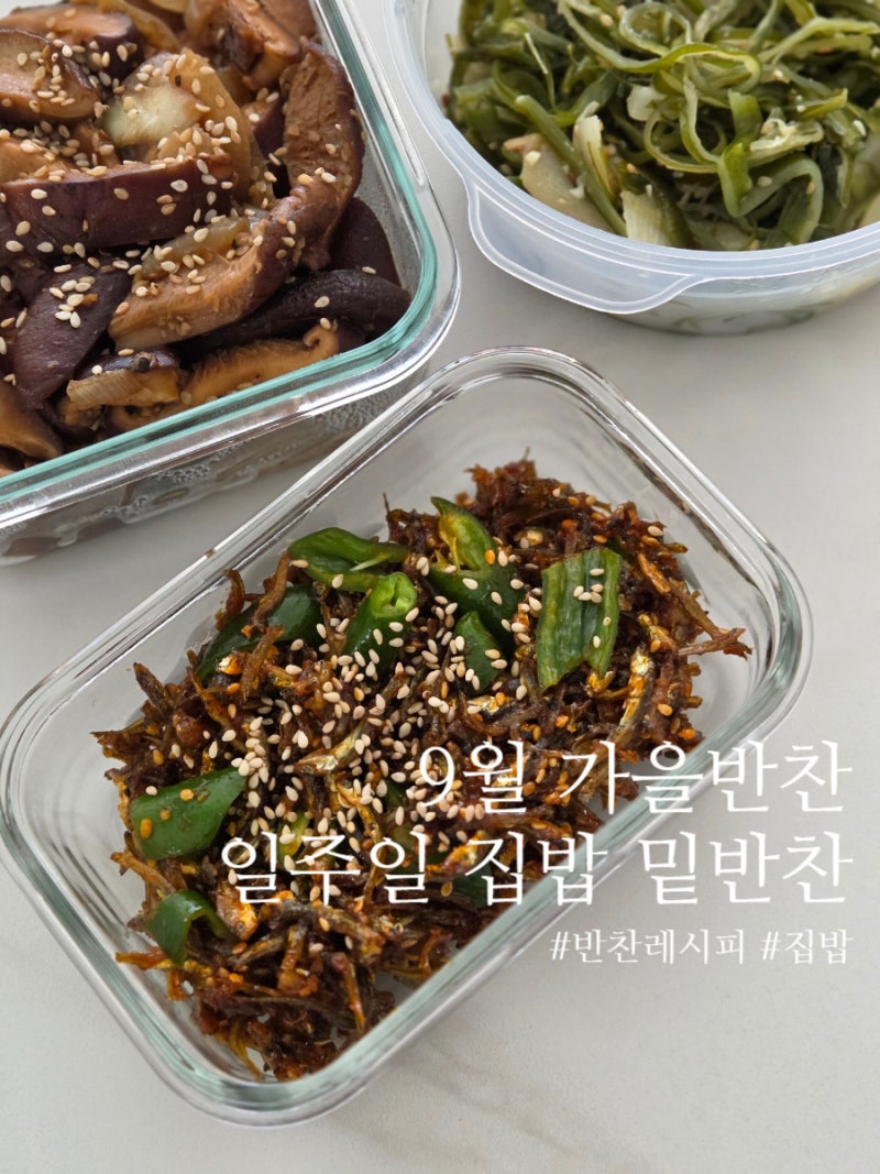 9월 가을반찬 일주일 밑반찬 레시피 신혼집밥