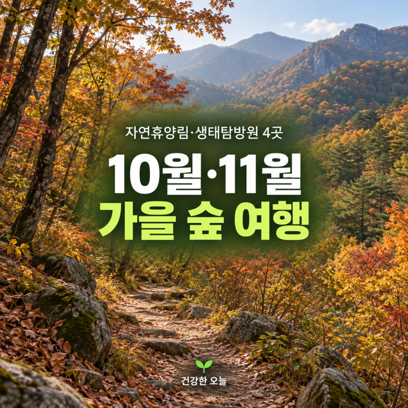 10월·11월 가을 숲 여행, 자연휴양림·생태탐방원 4곳 예약 전에 확인할 것