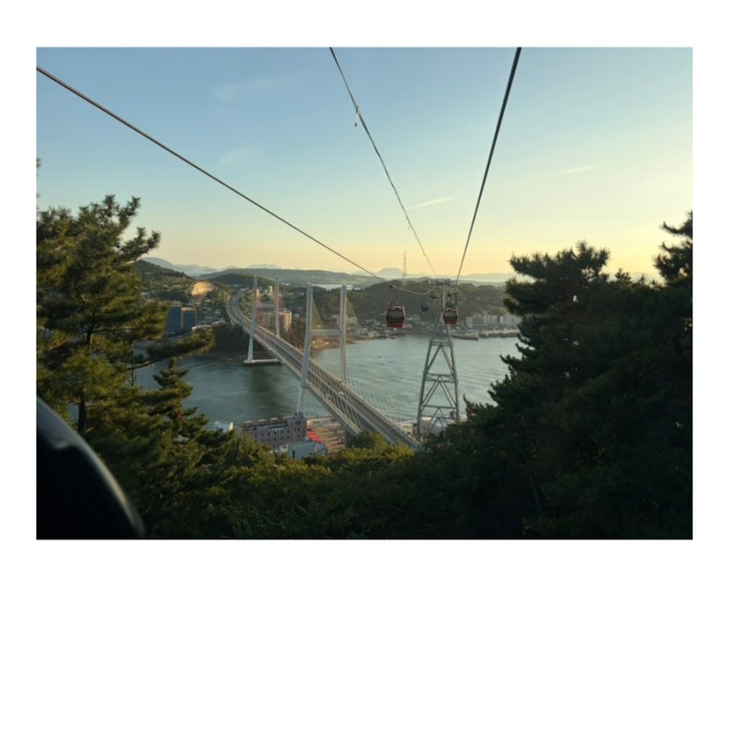 #여수 알짜배기 효도관광 코스(오동도 해상케이블카 향일암)