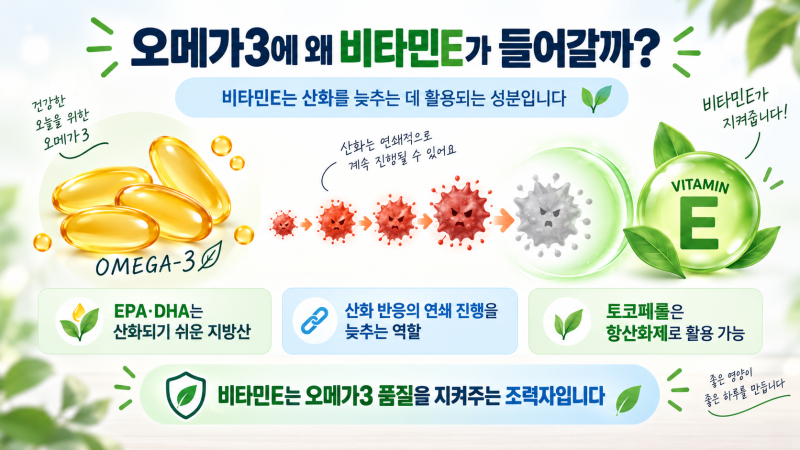 오메가3에 비타민E가 들어가는 이유｜산패를 막아줄까?