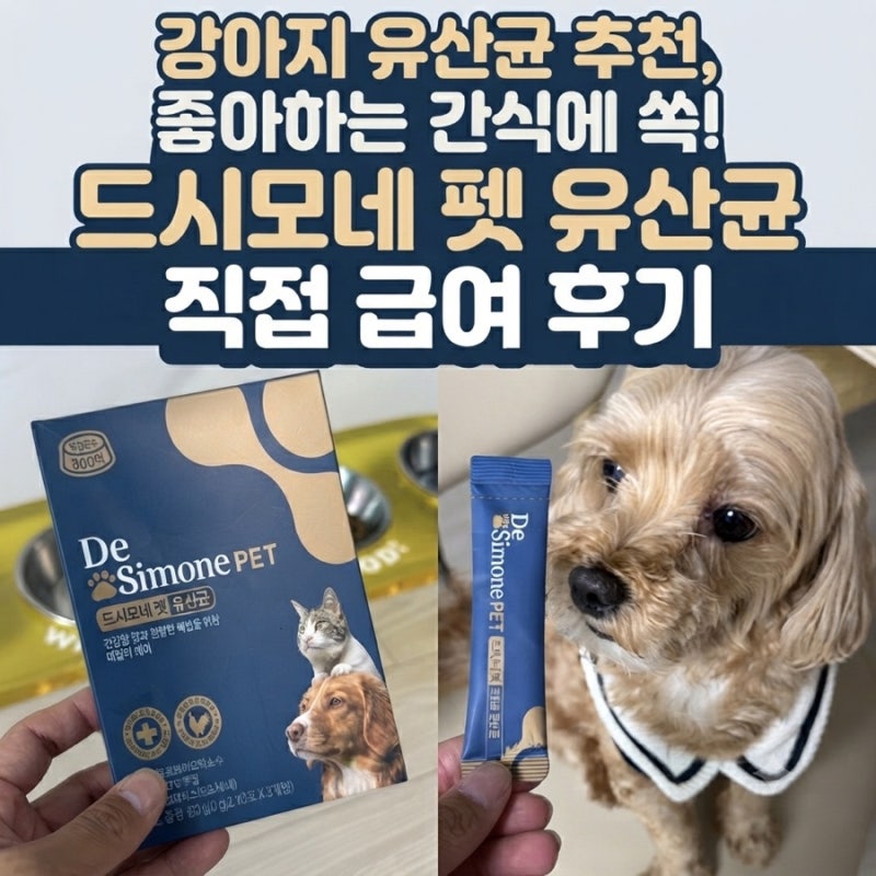 강아지 유산균 추천, 좋아하는 간식에 쏙! 드시모네 펫 유산균 직접 급여 후기