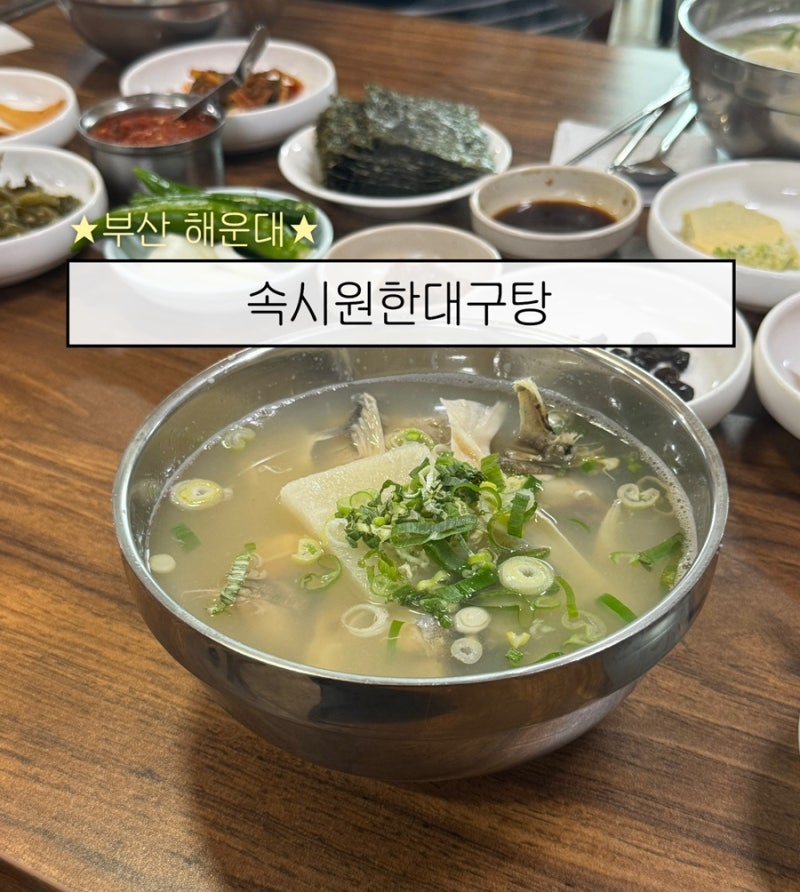 부산 해운대 달맞이 아침해장맛집! ‘속시원한대구탕’ 솔직 방문 후기(주차가능)