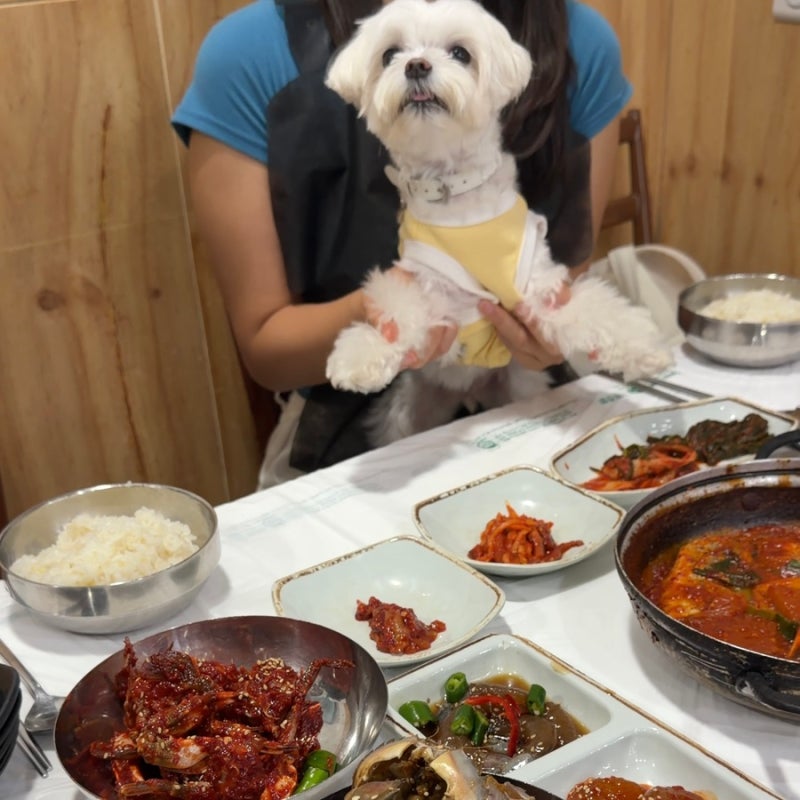 여수 애견동반 식당, 강아지랑 간장 게장 먹기 좋을까?