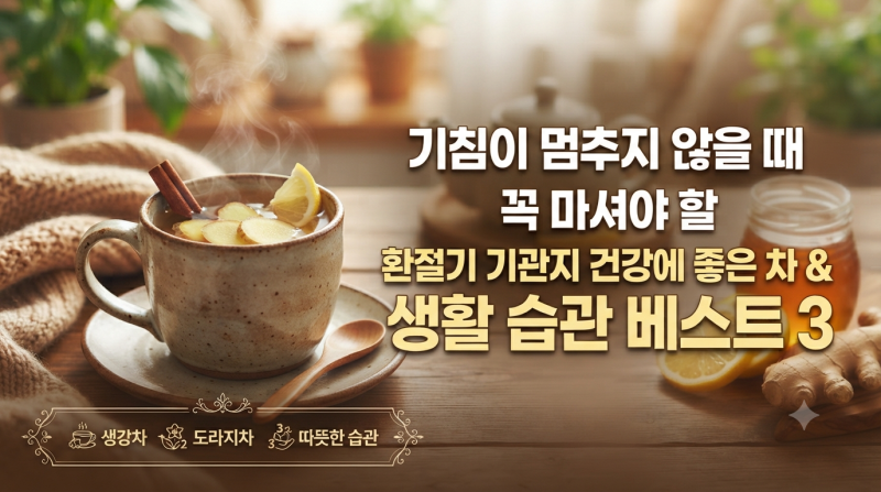 기침이 멈추지 않을 때 꼭 마셔야 할 환절기 기관지 건강에 좋은 차 & 생활 습관 베스트 3