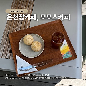 부산 온천장 카페 사계절마다 다른 모모스커피 본점