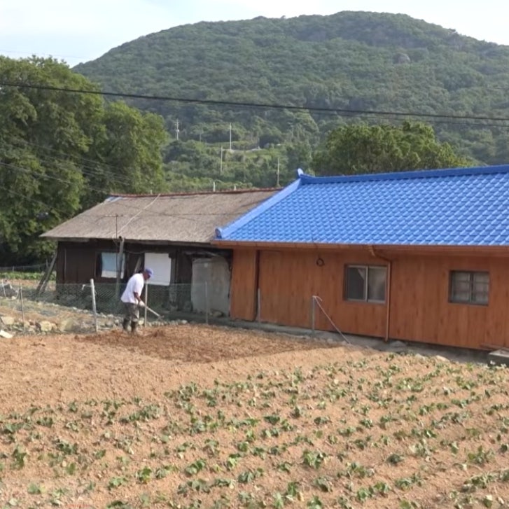 농지연금 수령액 월 300만 원 받으려면? 땅값 얼마짜리가 필요할까
