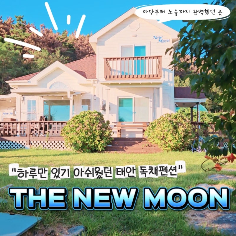 태안 독채펜션 찾다가 제대로 쉬고 온 곳, 더뉴문펜션 1박2일 후기