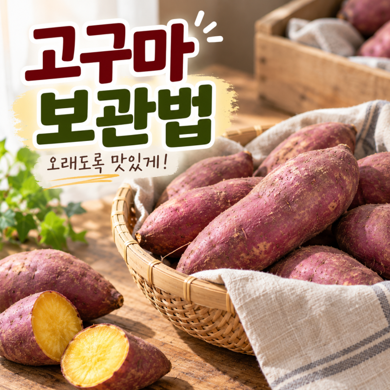고구마 보관법 보관방법 한박스 오래 두고 먹으려면