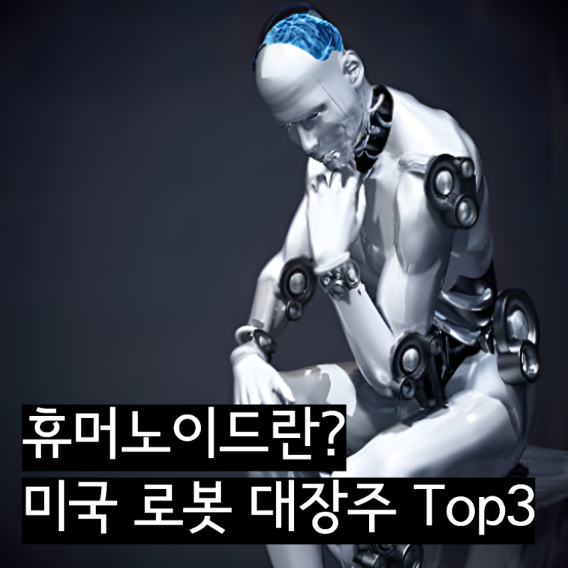 휴머노이드 뜻, 로봇 관련주 대장주 미국 Top3