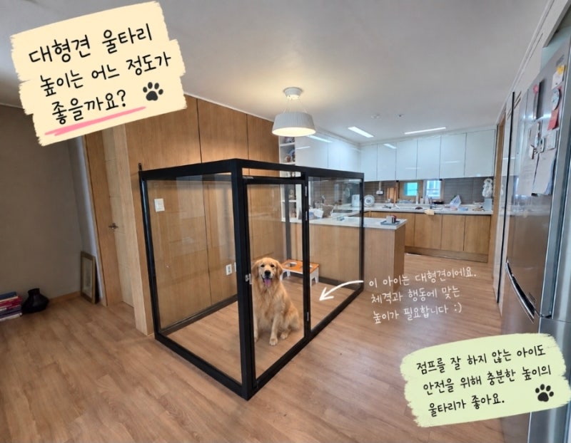 대형견 울타리는 높이가 얼마나 필요할까?