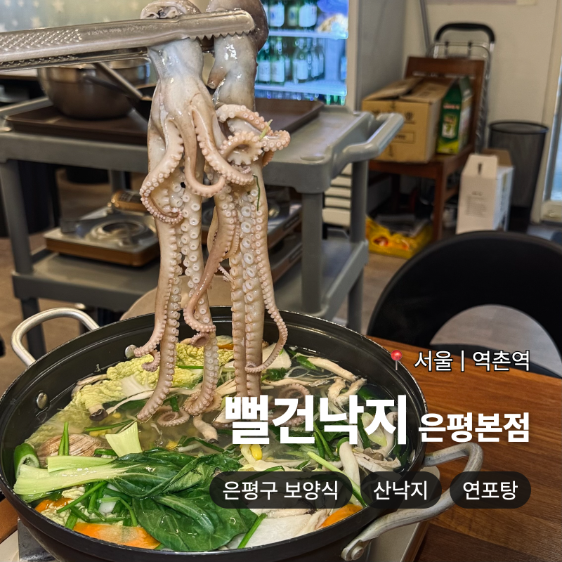 역촌역맛집 [뻘건낙지] 은평본점 | 산낙지 두 마리가 통으로 들어간 연포탕 은평구 보양식 맛....