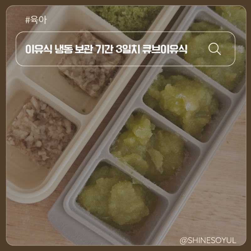 이유식 냉동 보관 기간 3일치 큐브이유식 소분 전자레인지 해동