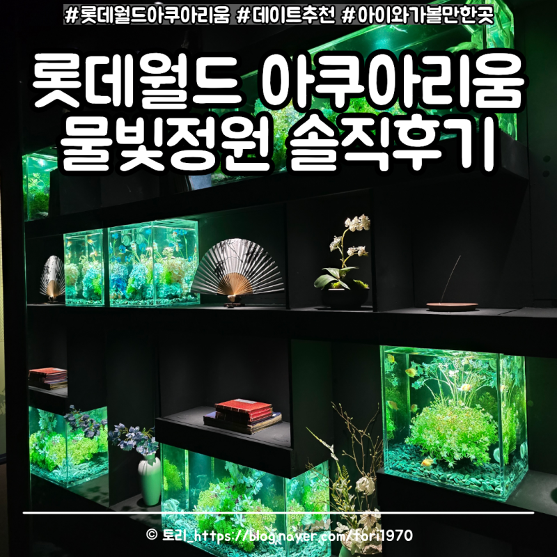 【樂天世界水族館】新開幕的水光庭園，比想像中還美，真心評論，約會、家庭...