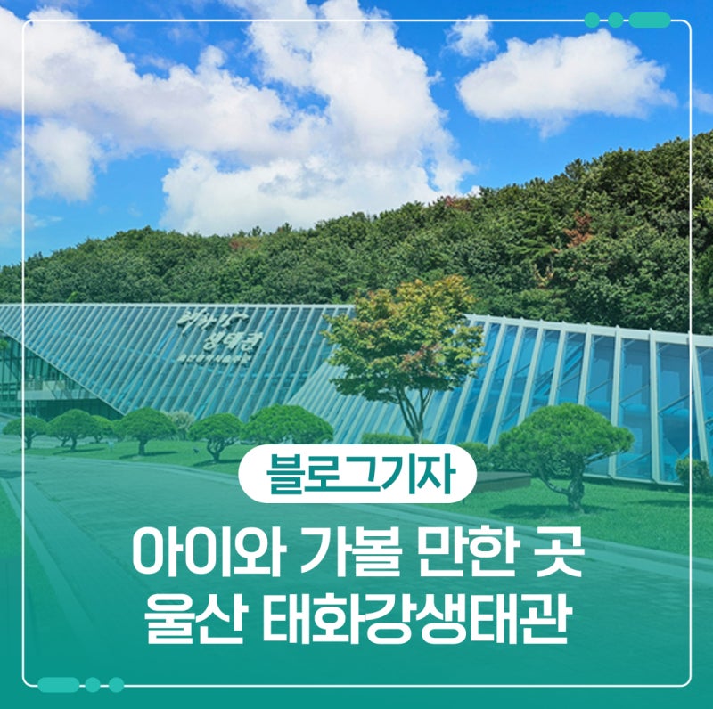 Ulsan Attractions for Kids: Taehwagang Eco-Park Family Outing