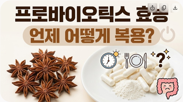 프로바이오틱스 효능 복용법, 유산균 언제 어떻게 먹어야 할까?