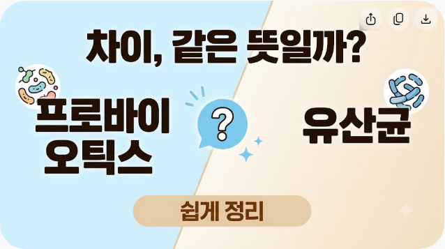 프로바이오틱스 유산균 차이, 같은 뜻일까? 쉽게 정리