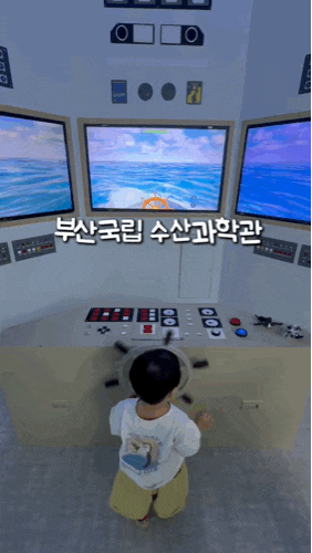 부산 기장 국립수산과학관 아이와 가볼만한곳! 해루질부터 피크닉까지 완벽 코스