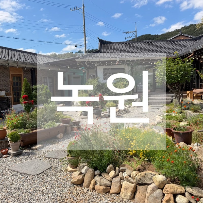 경기 양평 아늑하고 사랑스러운 양평한옥카페 녹원 애견동반
