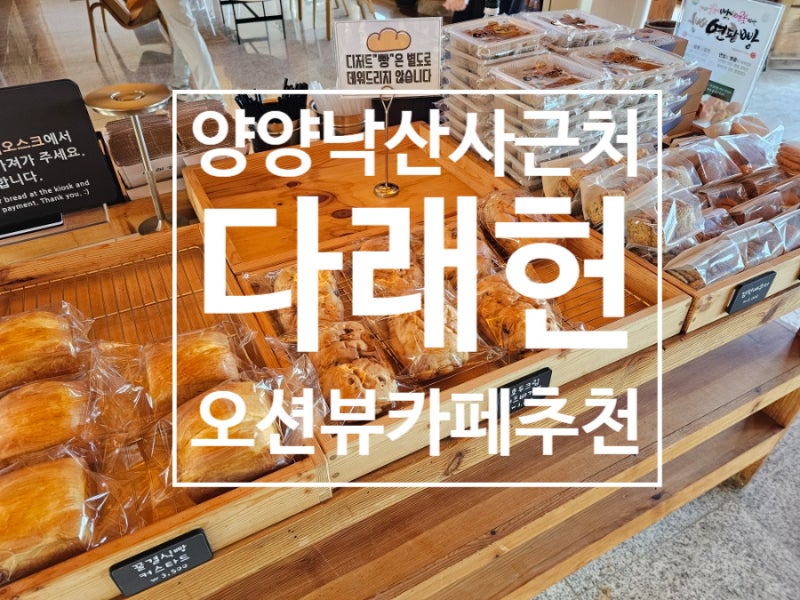 양양 가볼만한 곳 낙산사 다래헌 오션뷰 카페 메뉴 주차 후기