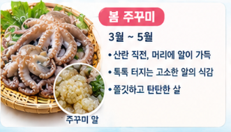 가을 뻘낙지가 돌아왔다｜봄 주꾸미와 가을 낙지의 차이 및 야들야들하게 데치는 밀가루 손....