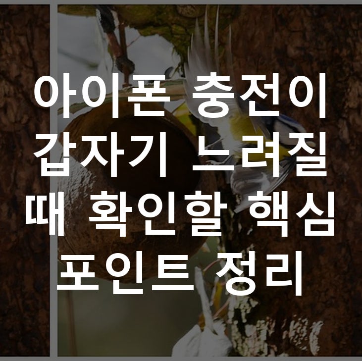 아이폰 충전이 갑자기 느려질 때 확인할 핵심 포인트 정리
