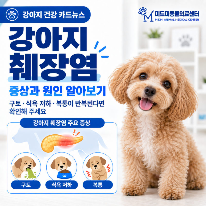 강아지 췌장염 증상과 원인, 반복되는 구토와 식욕저하가 있다면?