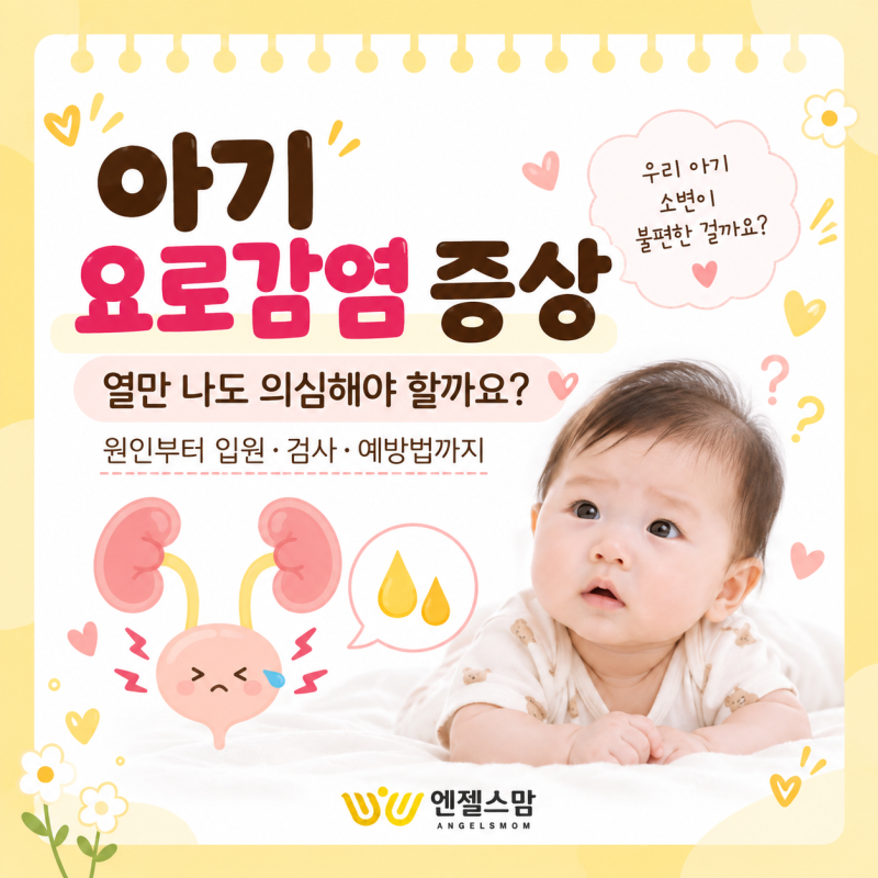 아기 요로감염 증상, 열만 나도 의심해야 할까요? 원인부터 입원·검사·예방법까지