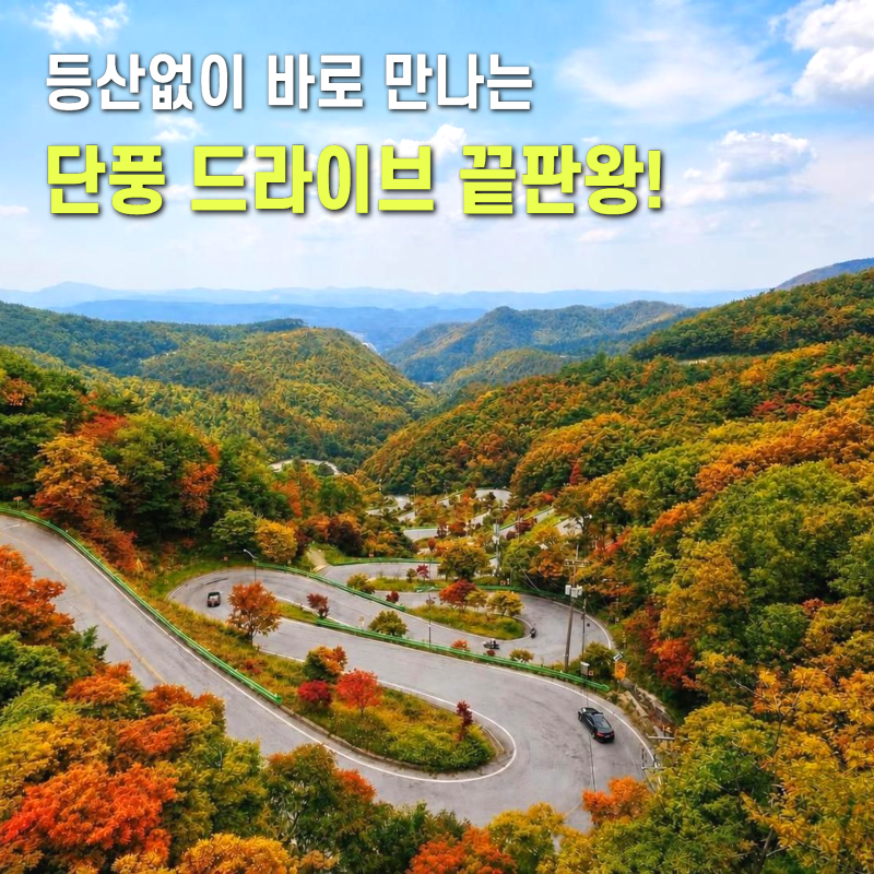 報恩必訪景點 俗離山馬耳峙楓葉之旅 從停車場到拍照區