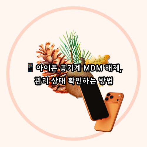 아이폰 공기계 MDM 해제, 관리 상태 확인하는 방법