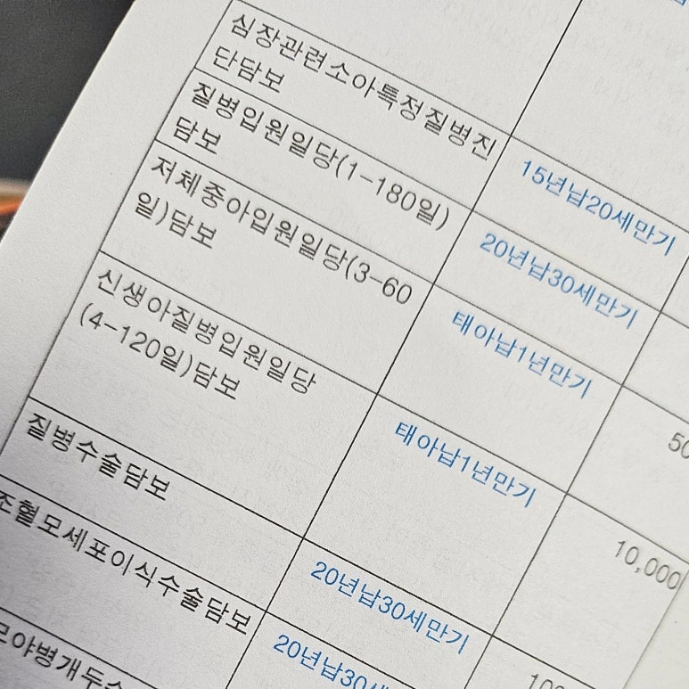태아보험 다이렉트 내돈내산 현대해상 설계안 금액 비교 (삼성화재, 메리츠, 마미톡)