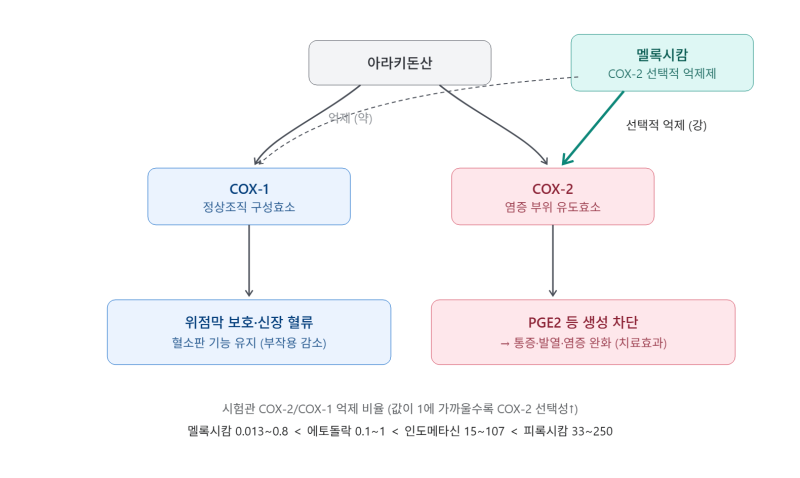 멜록시캄(Meloxicam) / 모빅.비스테로이드성 함염증제.NSAID.골관절염.퇴행성관절염.류마티스관....