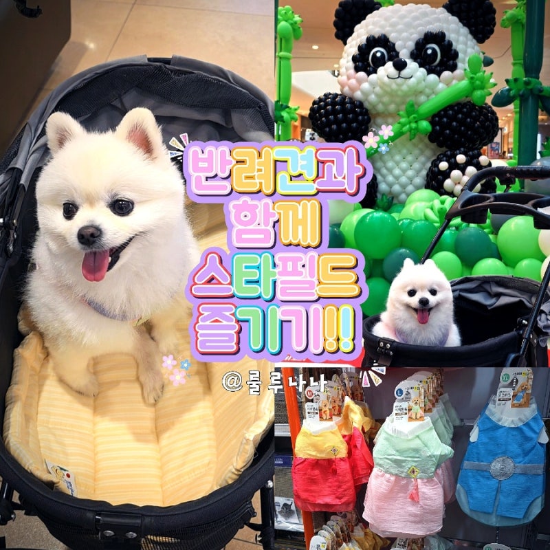 고양 스타필드 놀거리 추천! 2026 코리아 벌룬페스티벌, 모던하우스 반려동물용품, 다이소 추....