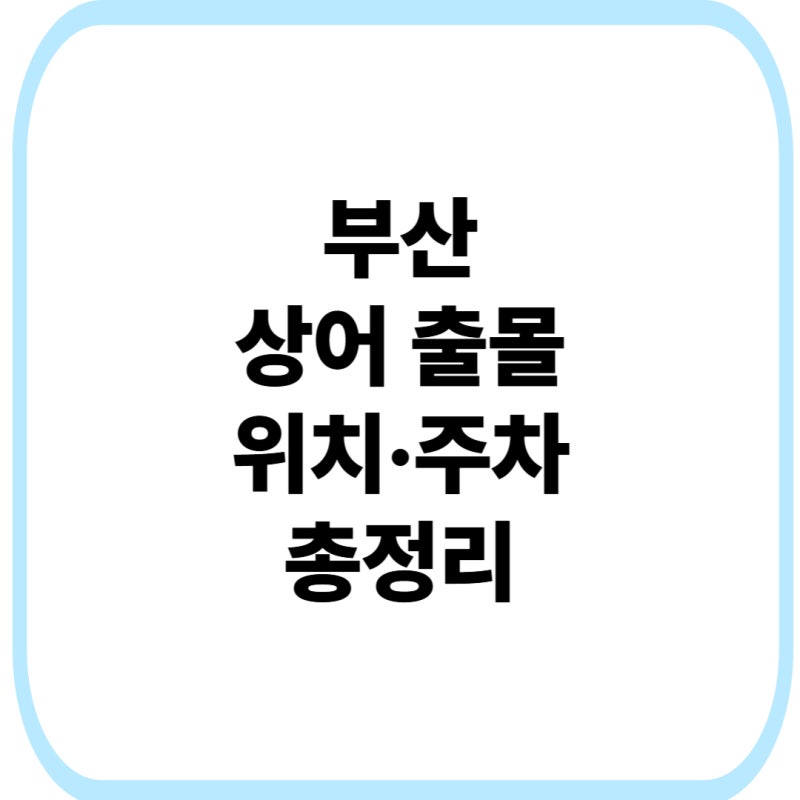 부산 상어 출몰 위치 어디? 북항 친수공원 주차·무태상어·새끼상어 목격 사실은?