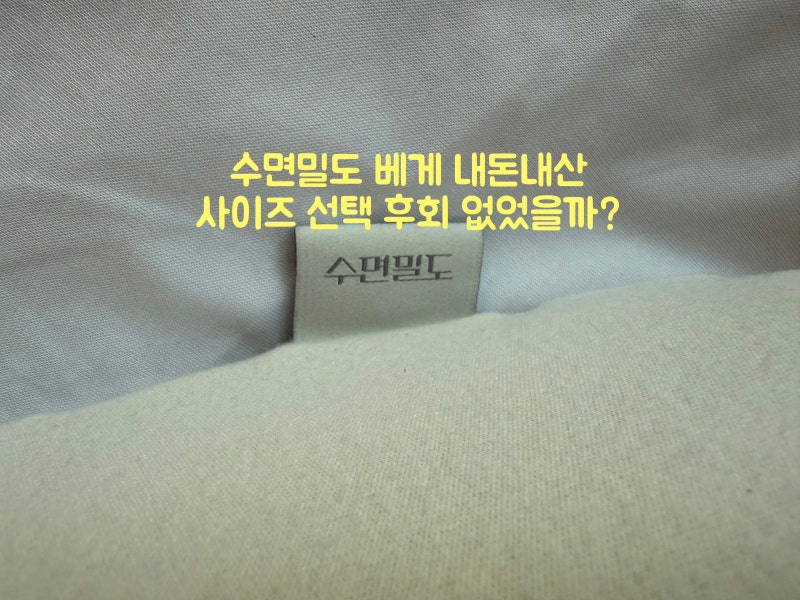 목 디스크 내돈내산 베개 추천 수면밀도 사이즈 선택 후기