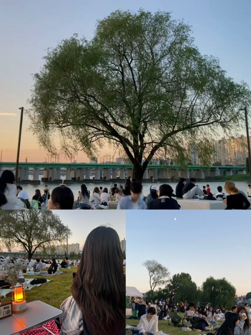 P們的即興「鷺得島野餐」後記 | 野餐與千年炸雞的組合太瘋狂了