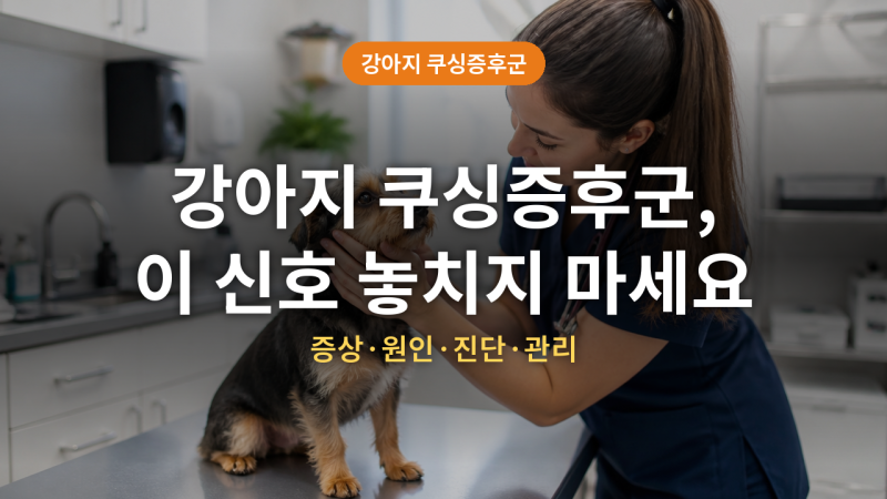강아지 쿠싱증후군 증상 (+원인, 진단, 관리)