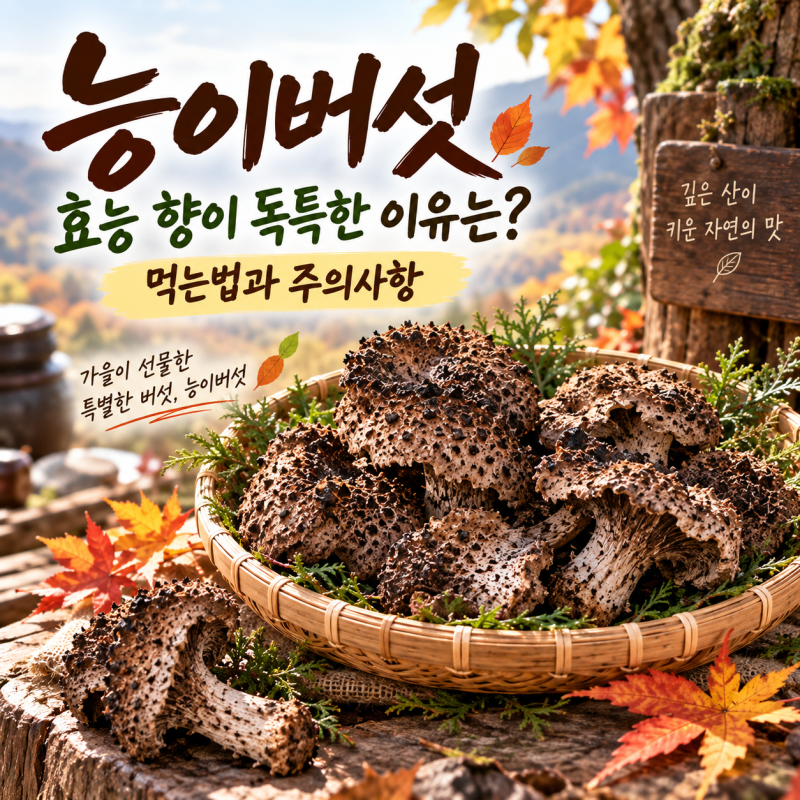 능이버섯 효능 향이 독특한 이유는? 먹는법과 주의사항