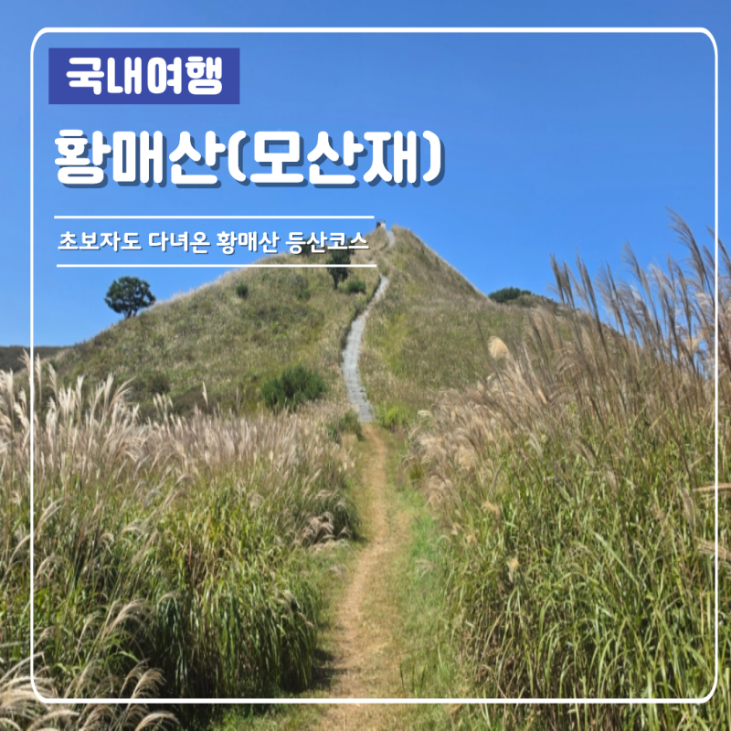 황매산 등산코스 초보자도 다녀온 모산재 억새군락지 후기