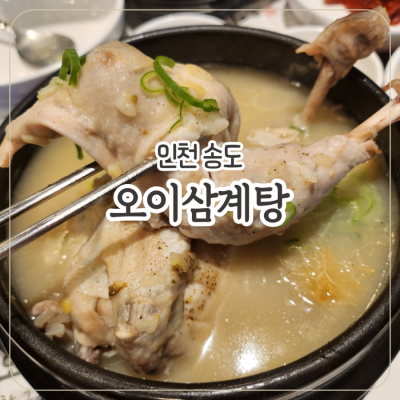 [인천] 송도 삼계탕맛집 '오이삼계탕 송도직영점'