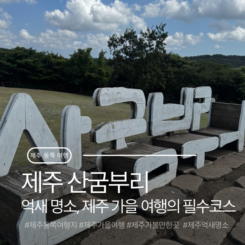 제주 동쪽 조천읍 억새 명소 산굼부리 | 가을여행지 추천 선선한 날씨에 산책하기 좋은 코스