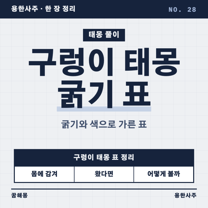 구렁이 태몽 굵기와 색깔별 풀이, 감기는 꿈까지 한 장 표로