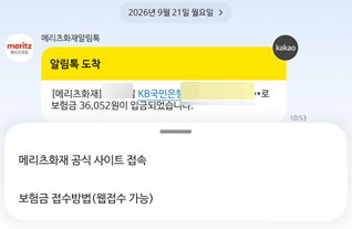 비행기 지연으로 여행자 보험 실비 청구해봤어유(feat.메리츠화재)
