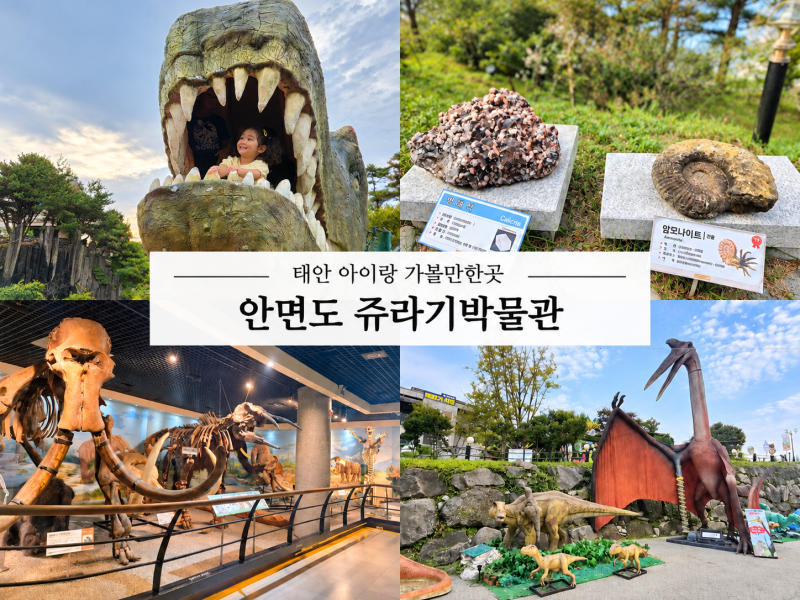 [안면도쥬라기박물관] 태안실내아이와가볼만한곳 | 5살 아이와 다녀온 후기